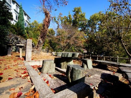 Outdoor Pictures 7