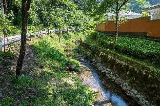 Outdoor Pictures 10