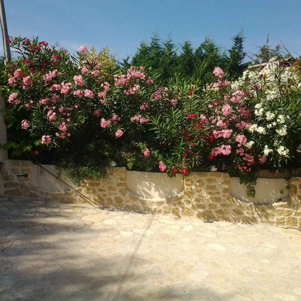 Outdoor Pictures 2