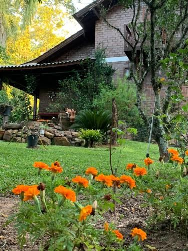 Outdoor Pictures 4
