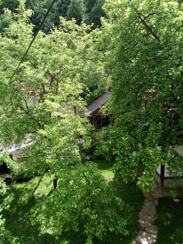 Outdoor Pictures 4