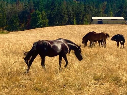 Outdoor Pictures 23