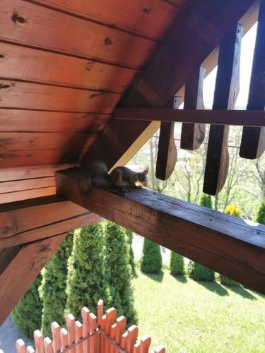Outdoor Pictures 3