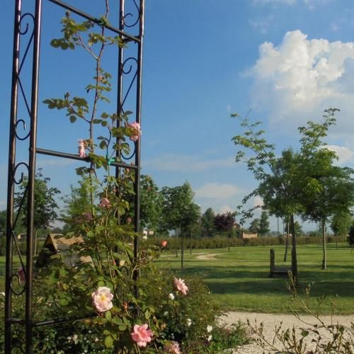 Outdoor Pictures 3