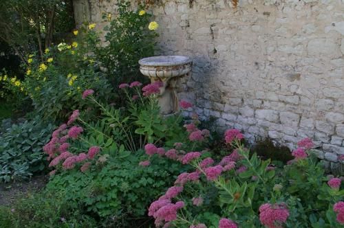 Outdoor Pictures 23