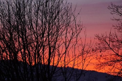 Outdoor Pictures 15