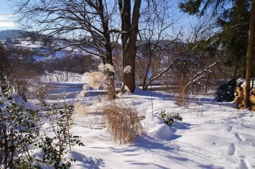 Outdoor Pictures 16