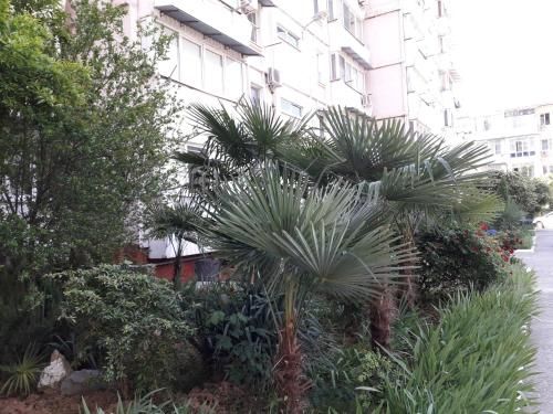 Outdoor Pictures 1