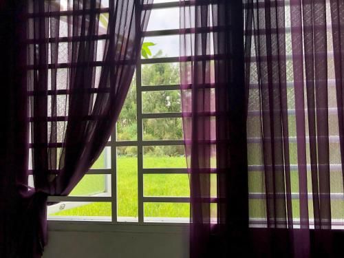 Outdoor Pictures 7