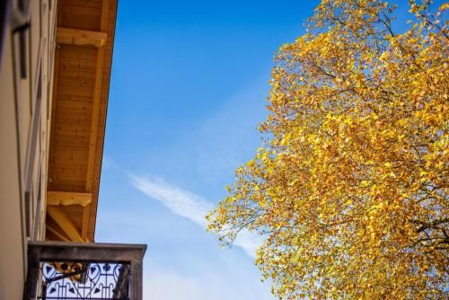 Outdoor Pictures 6