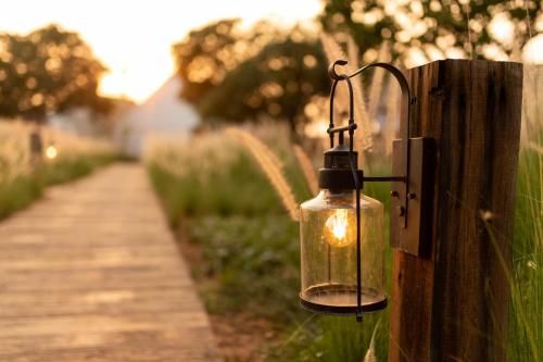 Outdoor Pictures 13
