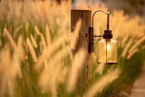 Outdoor Pictures 14
