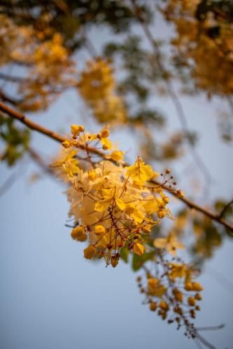 Outdoor Pictures 21