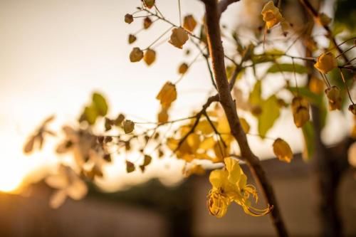 Outdoor Pictures 22