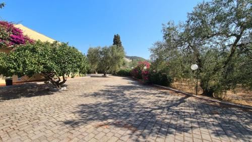 Outdoor Pictures 21