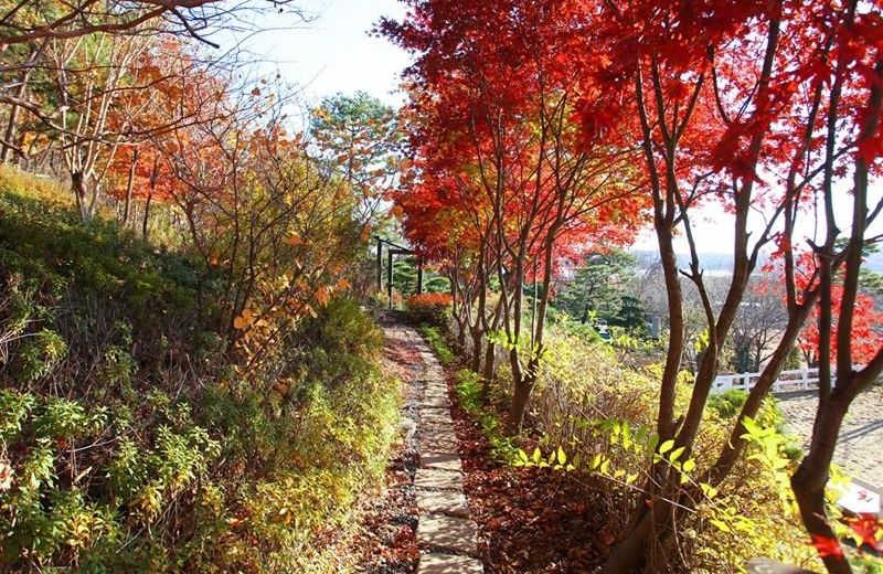 Ganghwado Poomane Pension