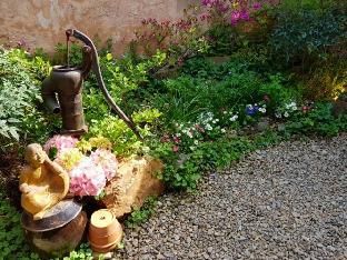 Outdoor Pictures 5