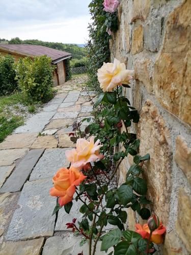 Outdoor Pictures 5