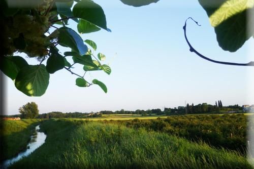 Outdoor Pictures 19