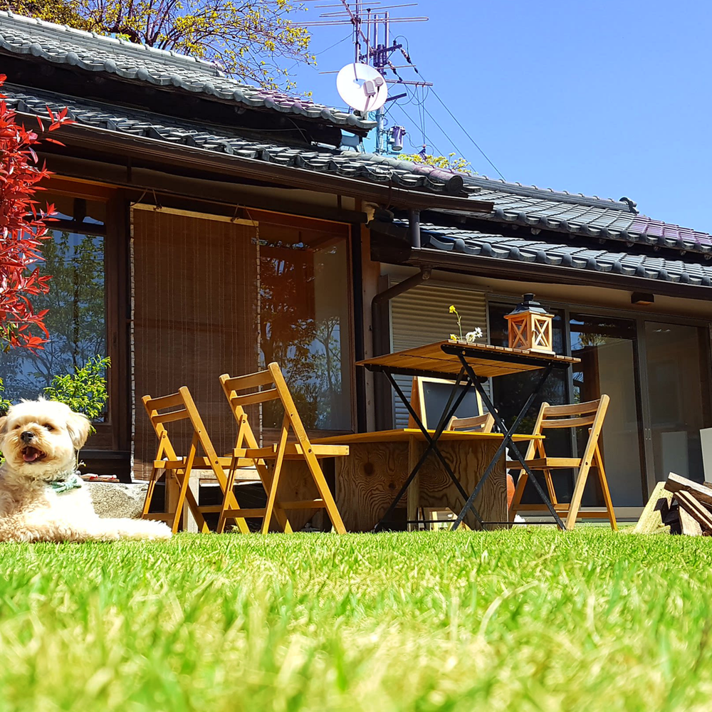 Outdoor Pictures 2