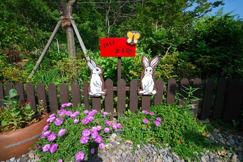 Outdoor Pictures 2