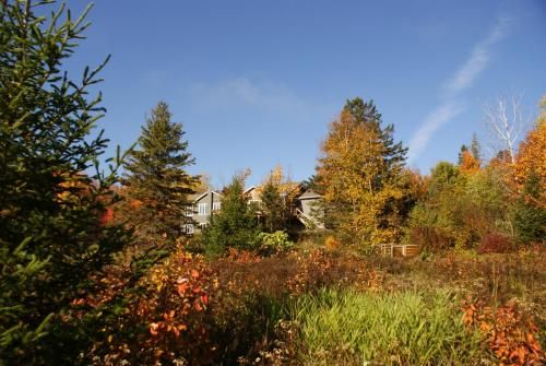 Outdoor Pictures 4