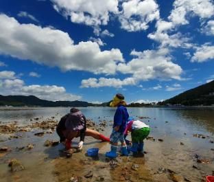 namhae paemilrihauseu