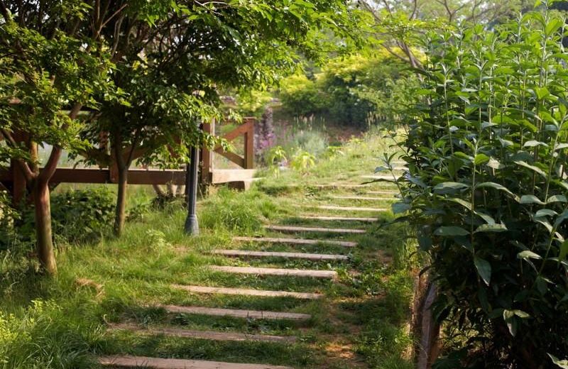 Taean Her Sea Pension