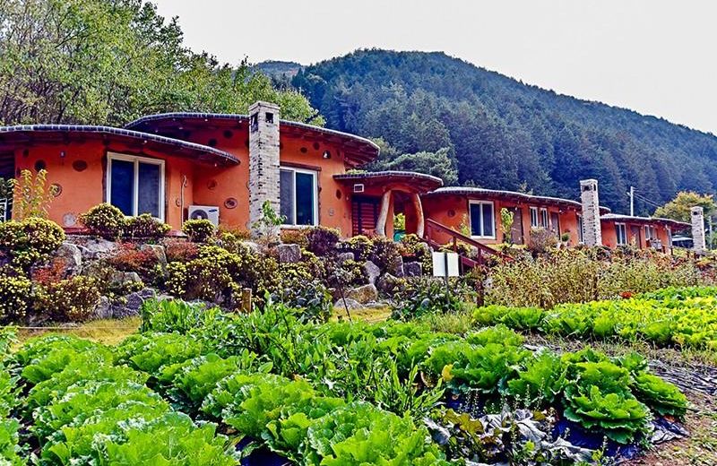 Jangseong Pyeonbaeksup Hwangto Pension