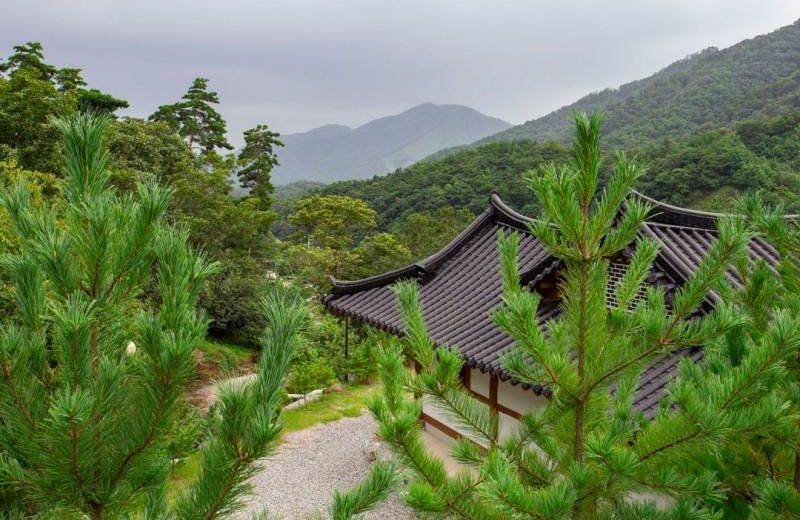 Chungju Solnaeeum Hanok Pension