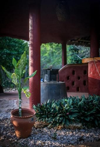 Outdoor Pictures 16