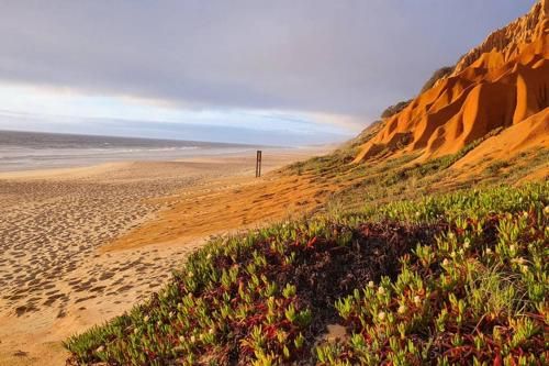 Secluded Beach House @Praia da Gale