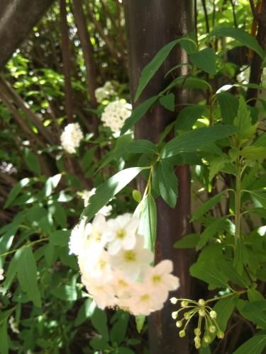 Outdoor Pictures 7