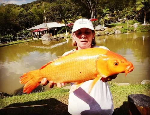 Acualandia Fish