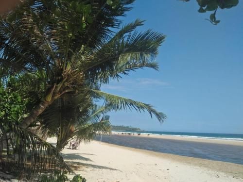 Rebirth Beach Resort