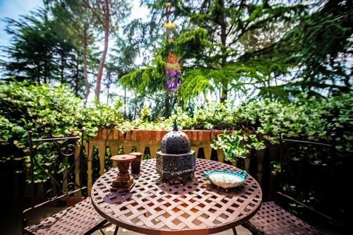 Outdoor Pictures 21