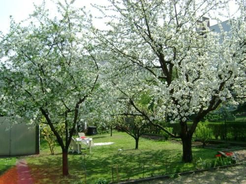 Outdoor Pictures 7