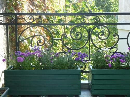 Outdoor Pictures 5