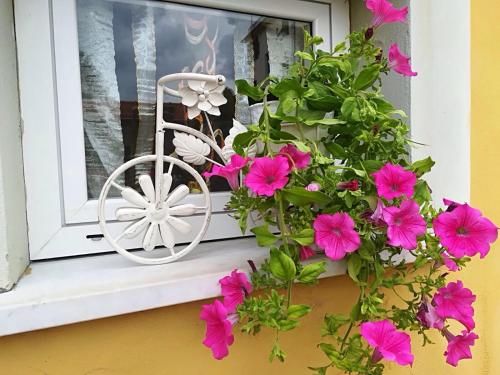 Outdoor Pictures 7