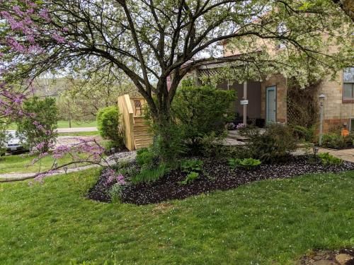 Outdoor Pictures 1