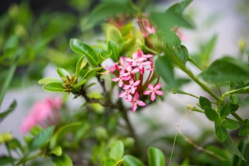 Outdoor Pictures 23