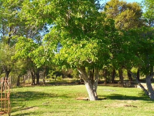 Outdoor Pictures 7