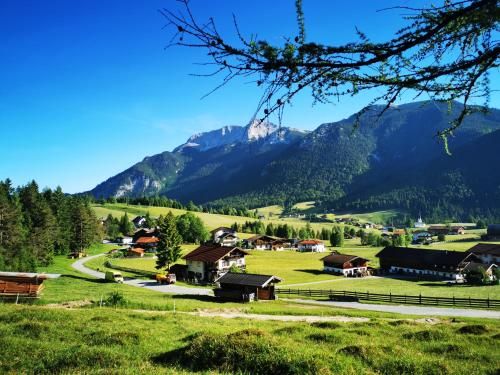 Outdoor Pictures 9