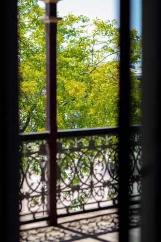 Outdoor Pictures 9