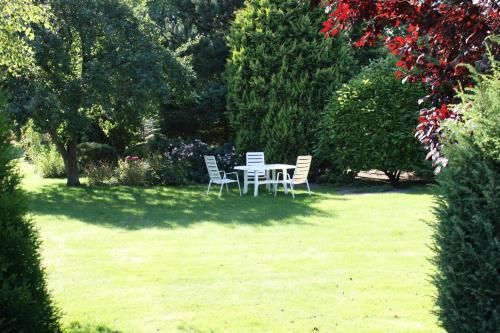 Outdoor Pictures 6