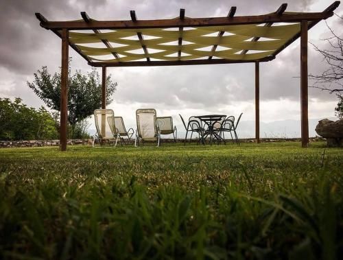 Outdoor Pictures 17
