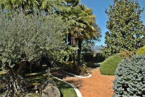 Outdoor Pictures 11