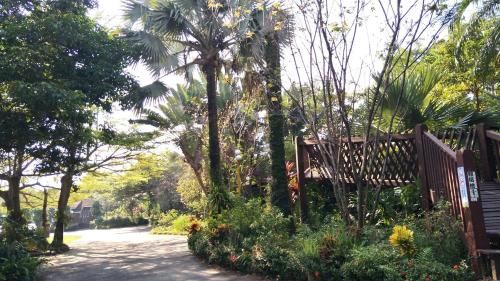 Outdoor Pictures 24