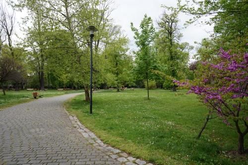 Outdoor Pictures 2