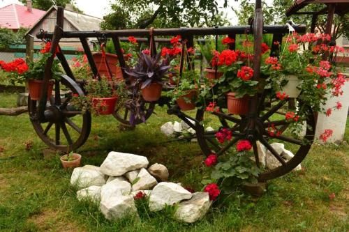 Outdoor Pictures 6
